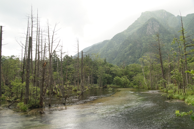 f0214649_1043686.jpg