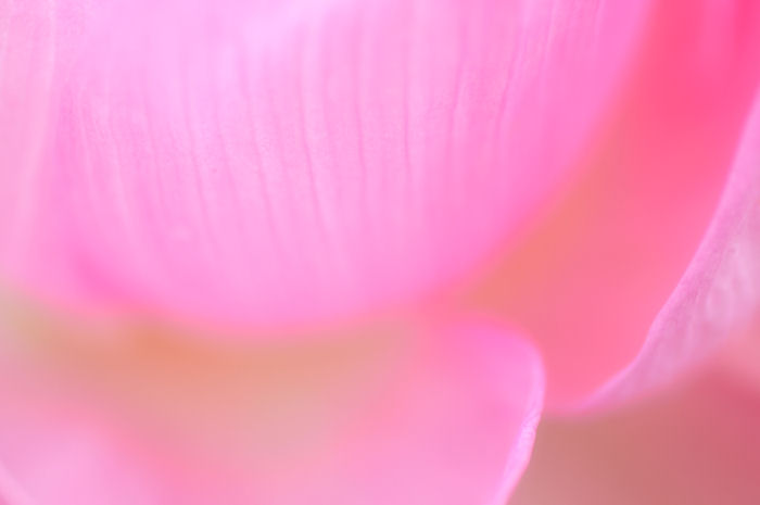 c0230252_21154960.jpg