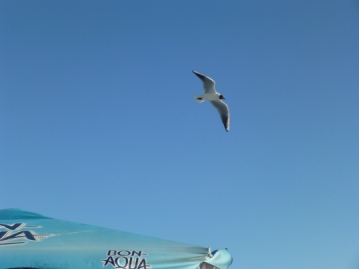e0222555_074742.jpg