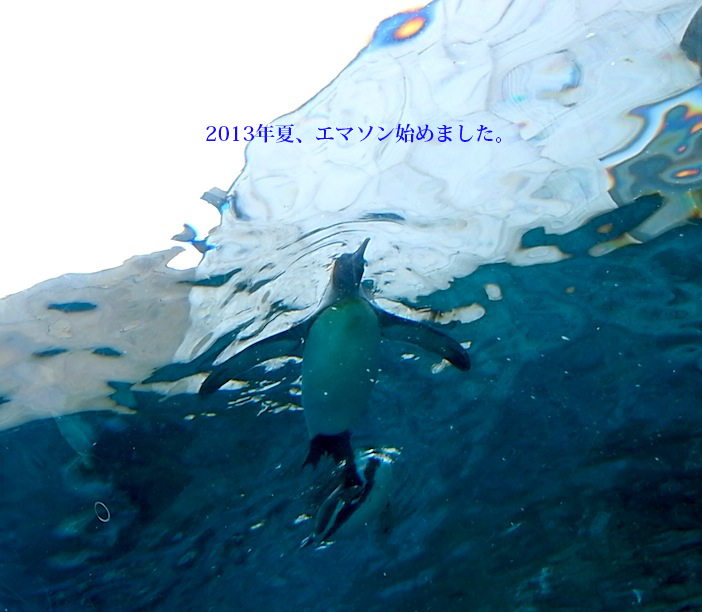 f0134963_21563876.jpg