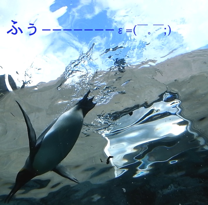 f0134963_21574990.jpg