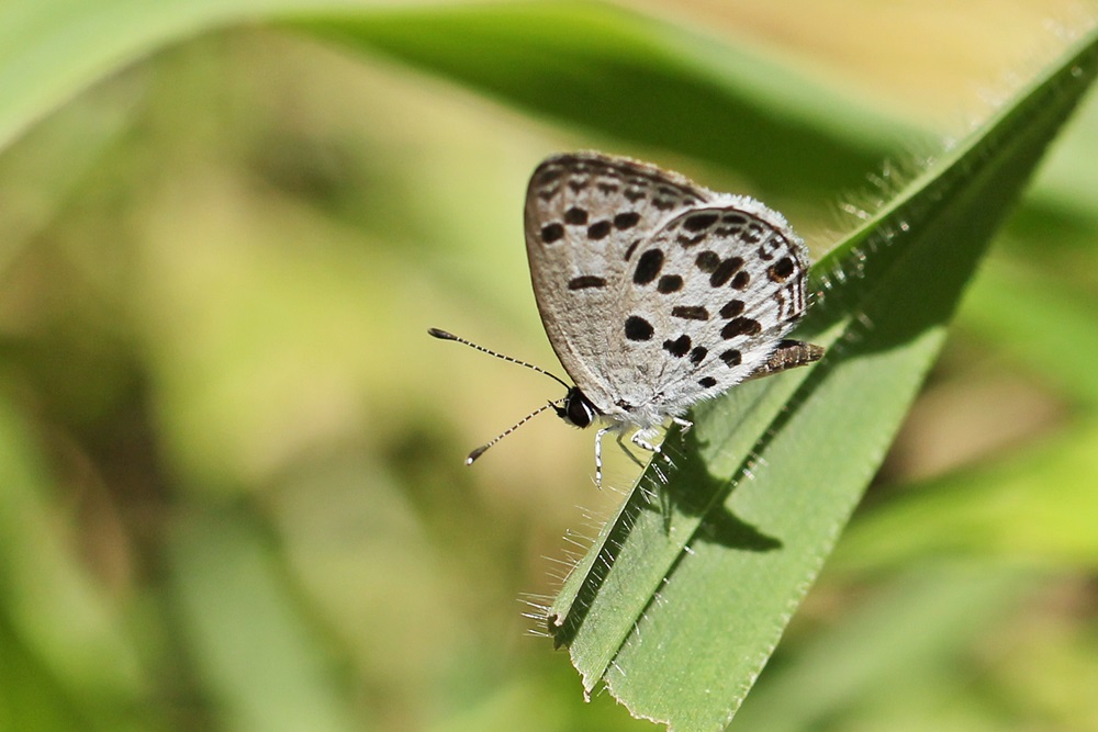 b0088772_5442941.jpg