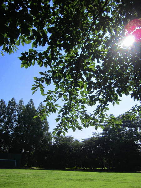 d0264176_18262751.jpg