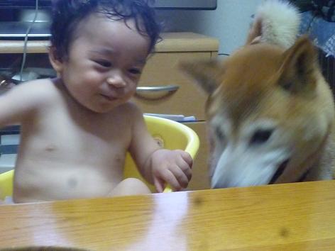 c0123890_2012091.jpg