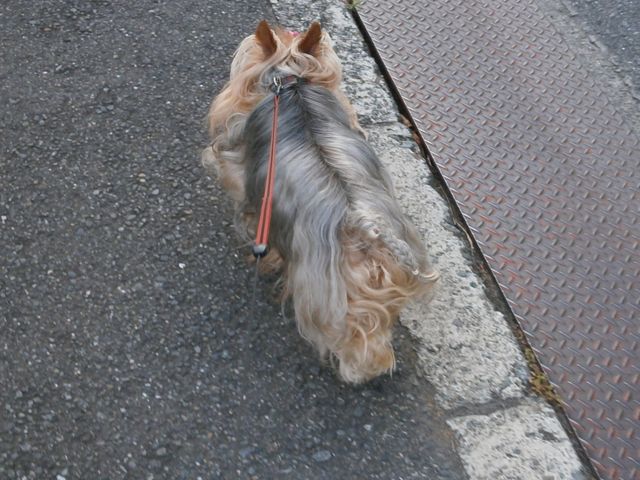 f0130894_21395836.jpg