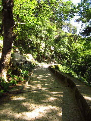c0180096_341023.jpg