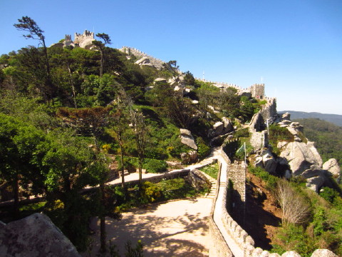 c0180096_3495499.jpg