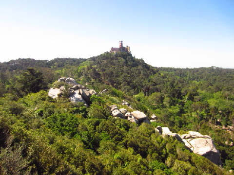 c0180096_351237.jpg