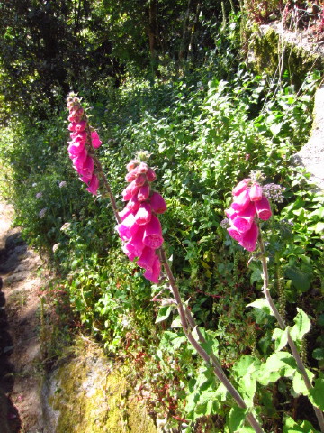 c0180096_3513624.jpg