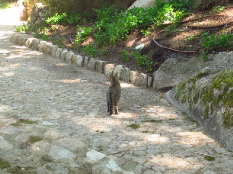 c0180096_351504.jpg