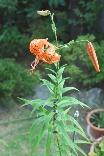 e0025300_21304040.jpg