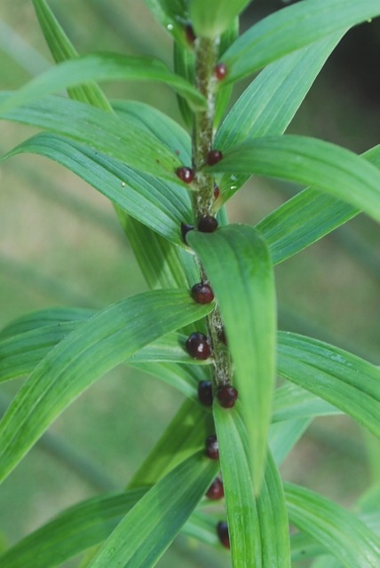 e0025300_21404659.jpg