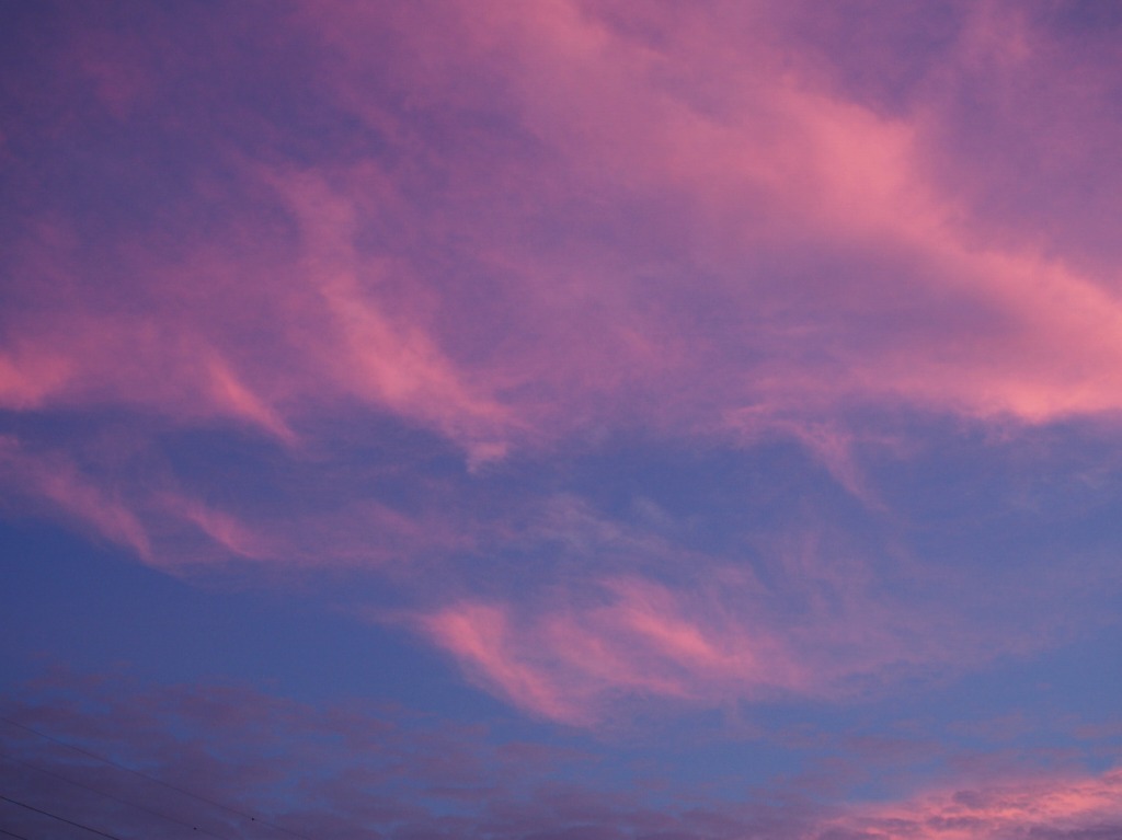 f0224100_2353138.jpg