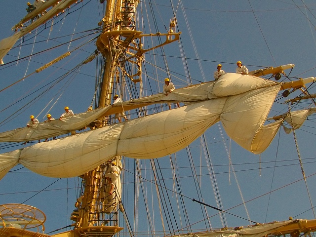 f0157901_18135337.jpg