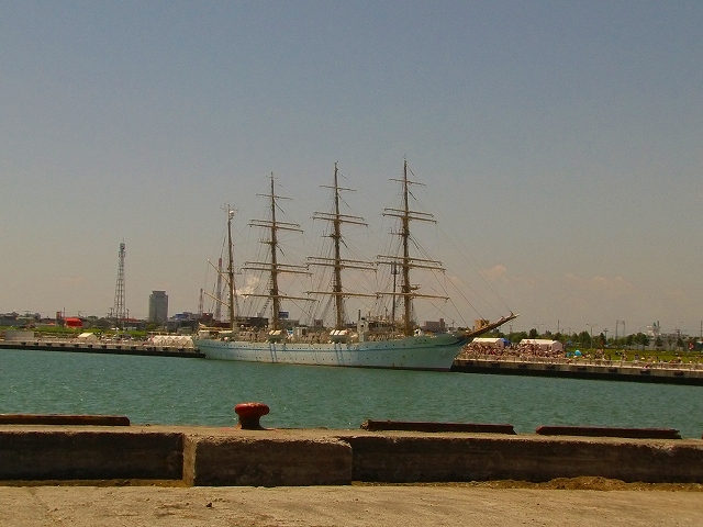 f0157901_1814273.jpg