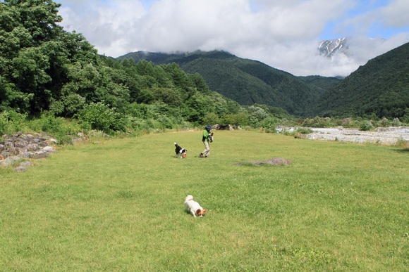 f0034602_1865514.jpg