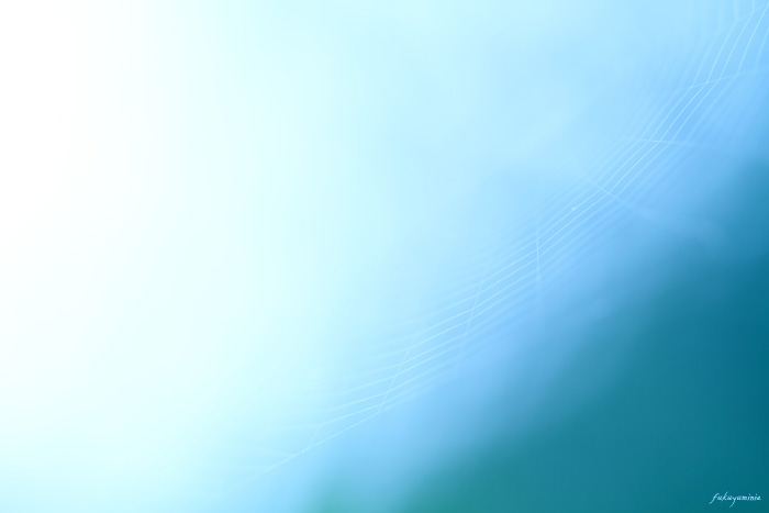 f0185802_2314755.jpg