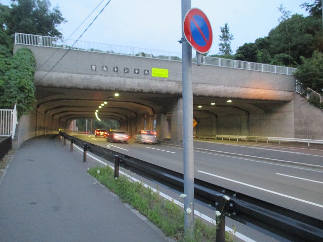 f0202703_2315733.jpg
