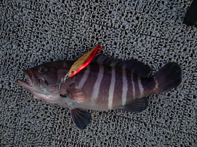d0224204_20184396.jpg