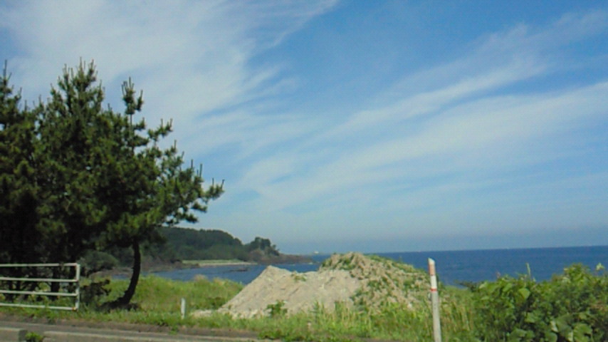 d0149105_1181539.jpg