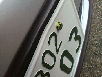 f0127408_83244100.jpg