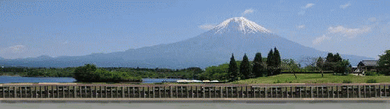 a0098027_20114337.gif