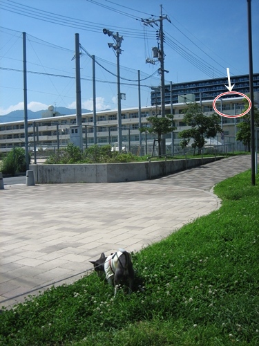 a0225827_1153436.jpg