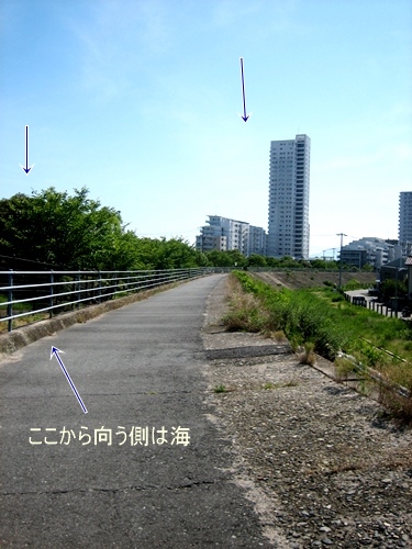 a0225827_12134176.jpg