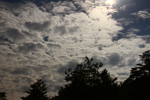 d0158028_1928491.jpg