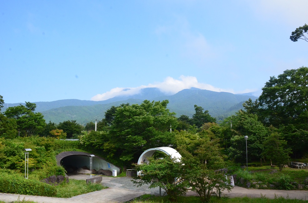 f0124830_0223411.jpg