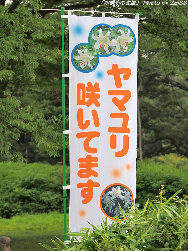 a0195032_8552065.jpg