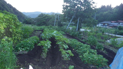 c0300035_954770.jpg