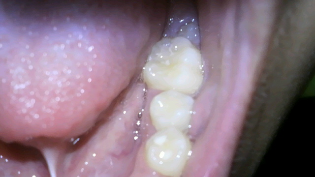 a0167338_21352059.jpg