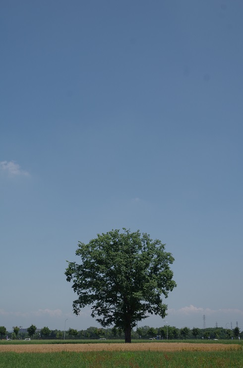 d0165741_17583747.jpg