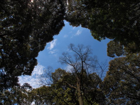 b0199742_122274.jpg