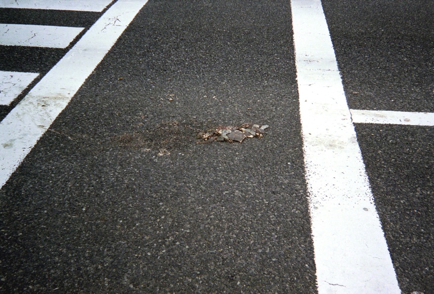 d0089742_01001.jpg