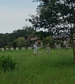 f0195543_21454447.jpg