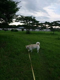 f0195543_2146450.jpg