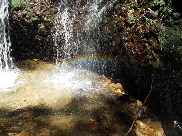 a0206345_23918.jpg