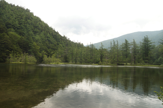 f0214649_3172690.jpg