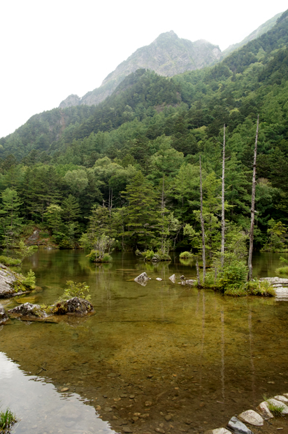 f0214649_3174435.jpg