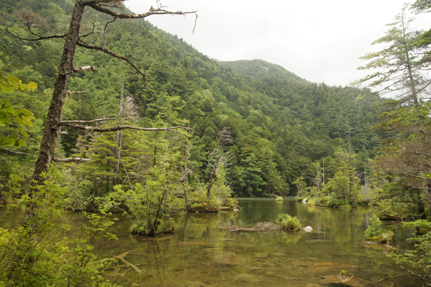 f0214649_3181542.jpg