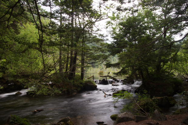 f0214649_3183784.jpg