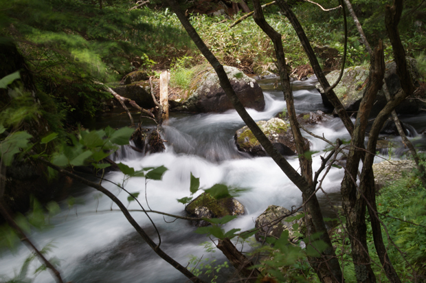 f0214649_318554.jpg