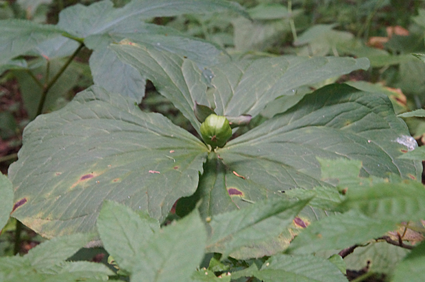 f0214649_3244115.jpg