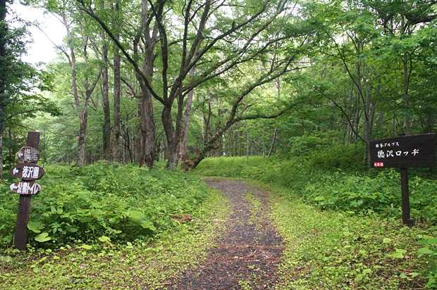 f0214649_328423.jpg