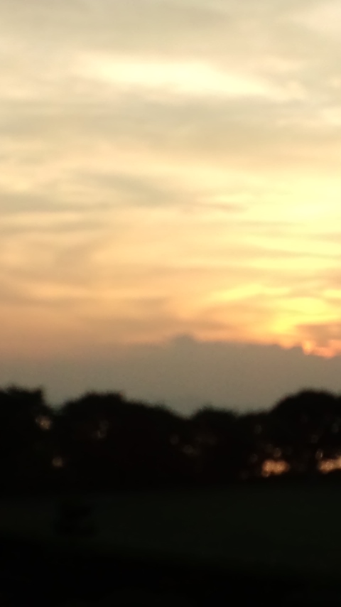 b0014350_6291949.jpg