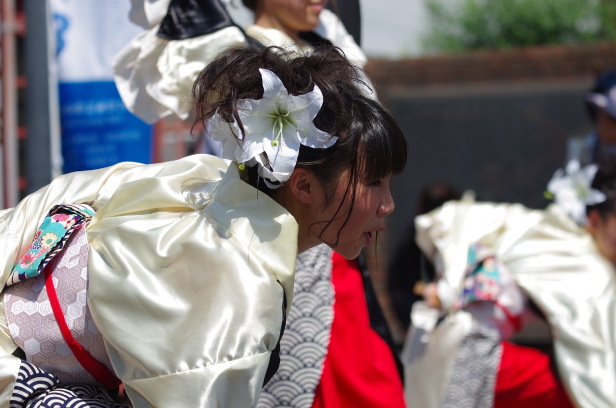 a0009554_14864.jpg