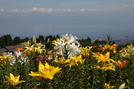 f0233356_22235563.jpg