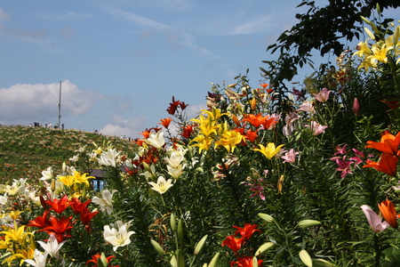 f0233356_22261652.jpg